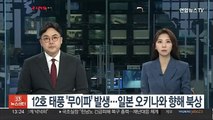 12호 태풍 '무이파' 발생…일본 오키나와 향해 북상