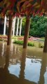 कर्नाटक : ऐसी बारिश हो तो किसी भी शहर को बेंगलूरु जैसी स्थिति का सामना करना पड़े