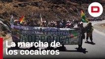 Miles de cocaleros marchan para cerrar «con sus propias manos» el mercado paralelo en La Paz