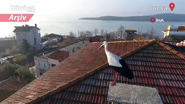 Yaren Leylek, Adem Amca ve köyüne 11'inci defa veda etti