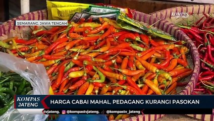 Harga Cabai Mahal, Pedagang Kurangi Pasokan