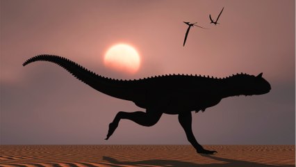 A 240 million-year-old dinosaur has been discovered in Africa