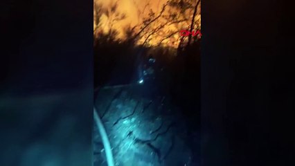 Arnavutköy'de ormanlık alanda yangın