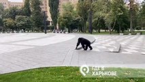 Ukrayna'da hayvanat bahçesinden kaçan şempanze bisikletle geri götürüldü