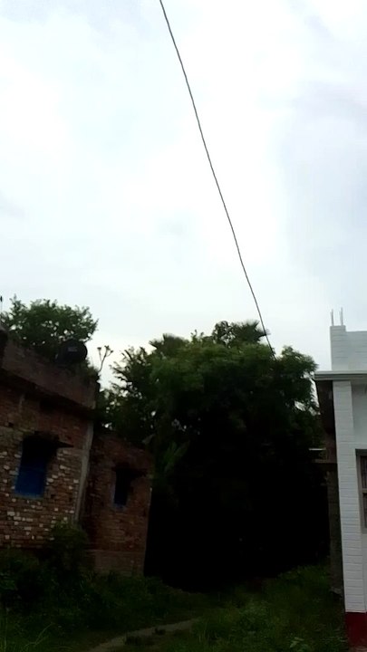 My ne vlog