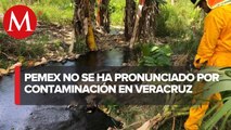 Pescadores denuncian derrames petroleros en norte y sur de Veracruz
