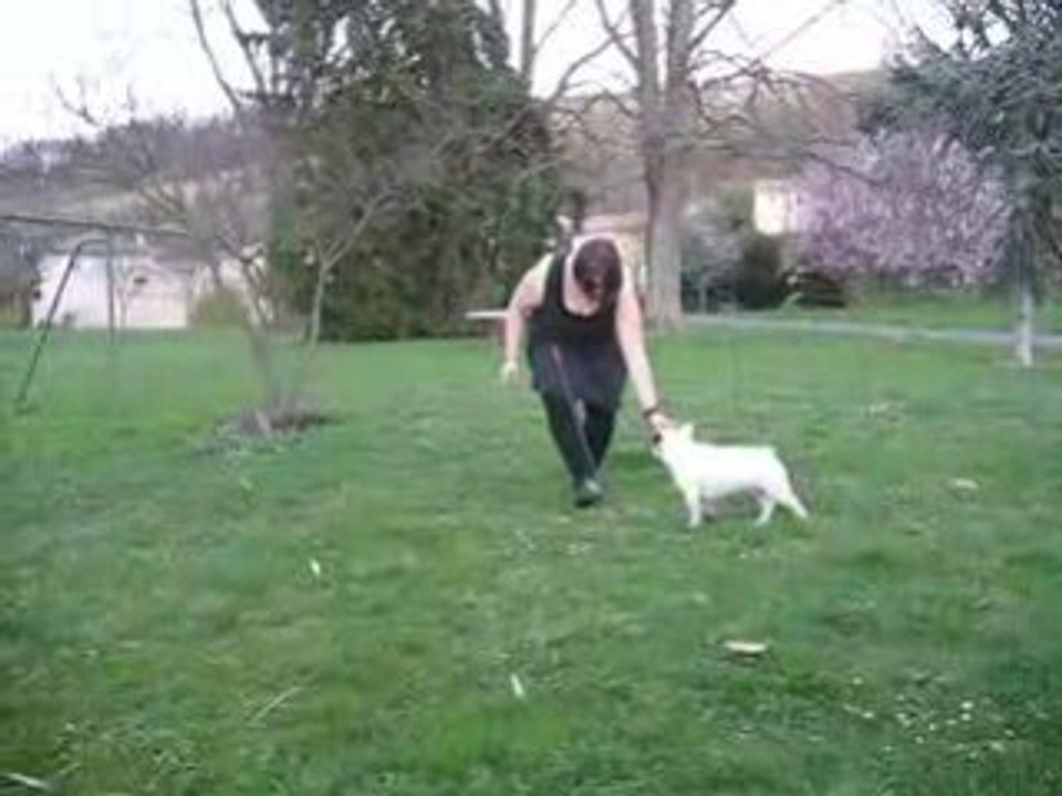 byron en aglilty