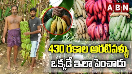 430 రకాల అరటిపళ్ళు ఒక్కడే ఇలా పెంచాడు || ABN DIGITAL