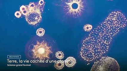 [BA] Terre, la vie cachée d'une planète - 15/09/2022