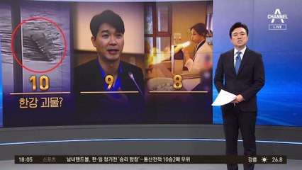 한강 헤엄치는 괴물? 영상 확인해보니…