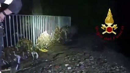 Maltempo nel Comasco, i danni