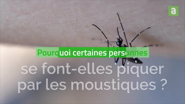 Pourquoi certaines personnes se font-elles piquer par les moustiques?