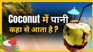 Coconut में पानी कहा से आता है Fact star k fans