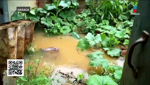 Damnificados por el sismo de hace cinco años no han recibido ayuda