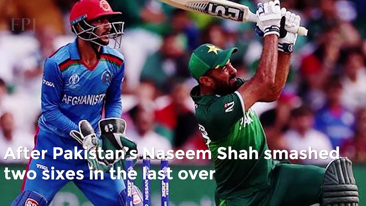 Clashes Erupt Between Fans Of Afghanistan, Pakistan Cricket Team After Asia Cup 2022 Match