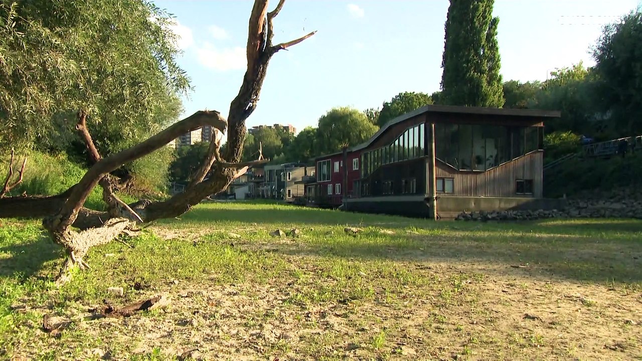 Niederlande: Dürre lässt lebenswichtige Deiche brechen