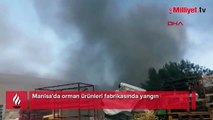 Manisa'da orman ürünleri fabrikasında yangın