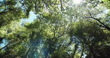 Oporto y Norte de Portugal. Anuncio turismo Portugal