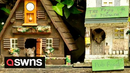 Meet the families of mice who live in their own purpose built homes and even have a pub