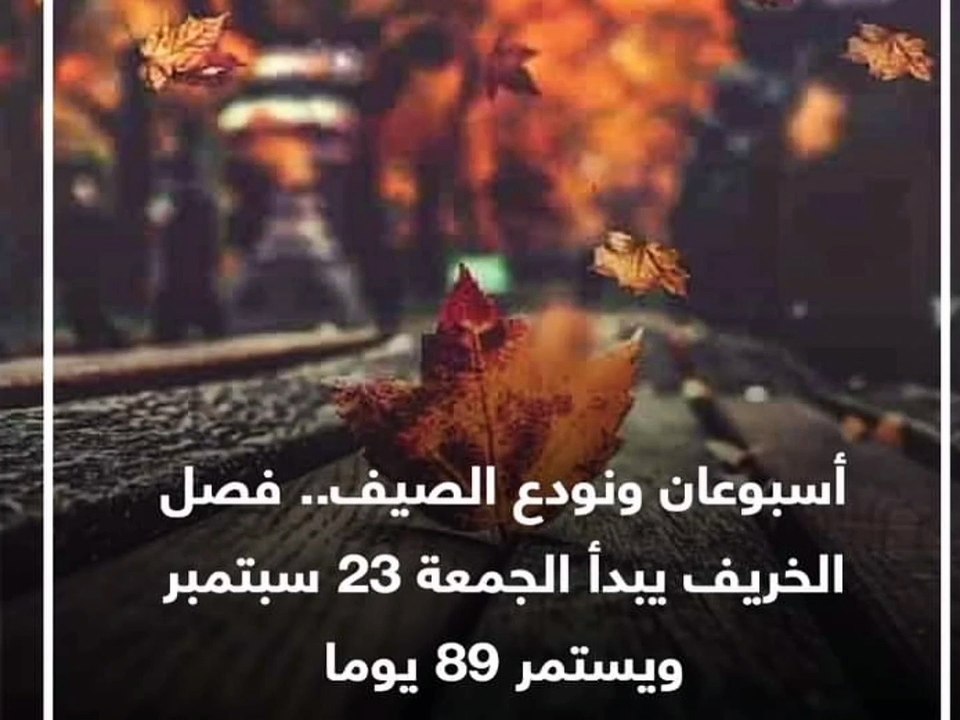 Egypt news ️
