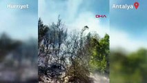 Antalya'nın Demre ilçesinde orman yangını