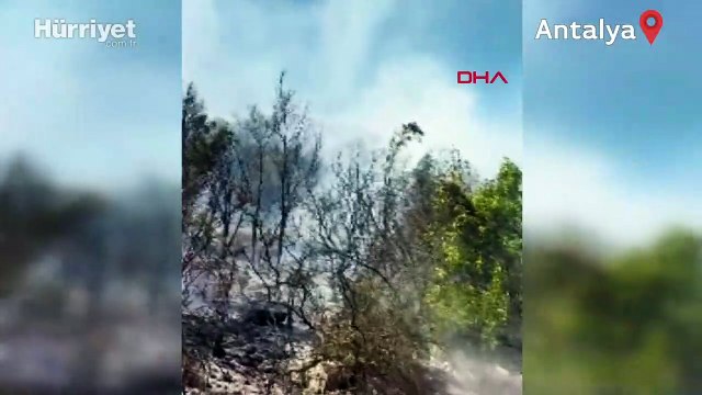 Antalya'nın Demre ilçesinde orman yangını