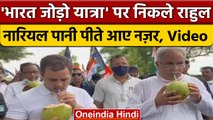 Bharat Jodo Yatra: नारियल पानी पीते नजर आए Rahul Gandhi और Bhupesh Baghel | वनइंडिया हिंदी *News