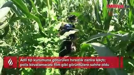 Tải video: Adli tıp kurumuna götürülen hırsızlık zanlısı kaçtı