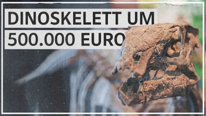 3,20 Meter langes Dinosaurierskelett wird versteigert
