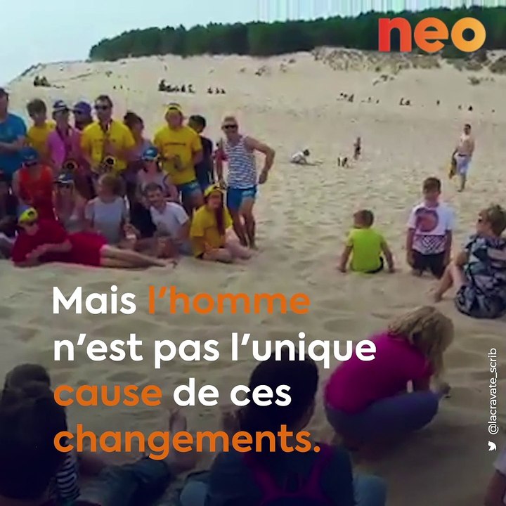 Joyau du patrimoine français, la dune du Pilat pourrait disparaître