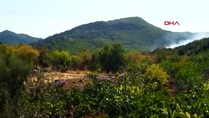 Demre'de orman yangını