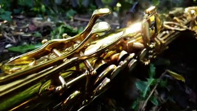 Sax-Solo on Lily was here - Candy Dulfer played by Doris Assenheimer