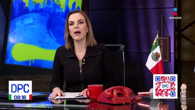 Zapatería deja a perritos callejeros refugiarse durante lluvia