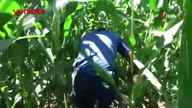 Adana'da film sahnelerini aratmayan hırsız-polis kovalamacası!