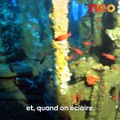 Stéphane filme de superbes épaves sous-marines au large de la Corse