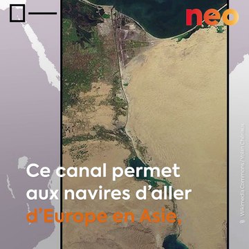 L'ingénieur français Ferdinand de Lesseps est le père du canal de Suez