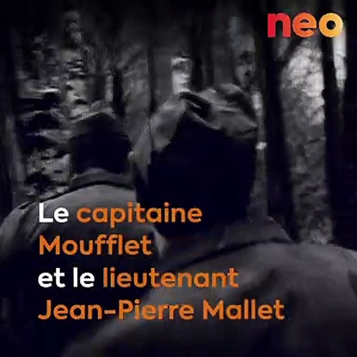 Les chiens, ces héros méconnus de la Grande Guerre