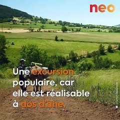 Le chemin de Stevenson, merveille des Cévennes, célébré aux César