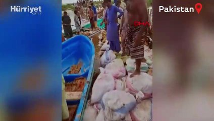 Pakistan'da taşan Manchar Gölü tehlike oluşturuyor