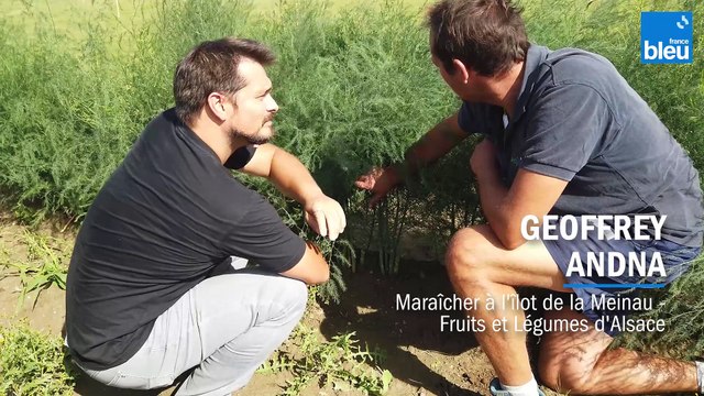 Des asperges en automne ? Tout est possible au Grand Show des fruits et légumes 2022