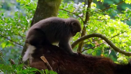 Our Great National Parks S01E01