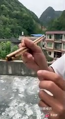 Un influenceur veut manger un frelon vivant et se fait piquer à la bouche