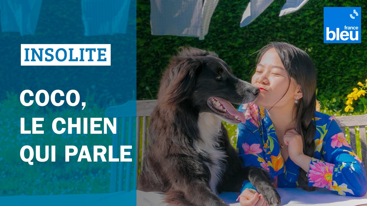 Coco, le chien qui parle