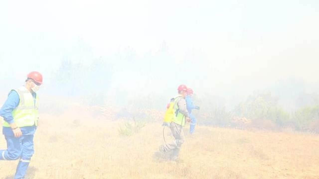 Son dakika haberleri | Mersin'deki Orman Yangınlarında Soğutma Çalışmaları Sürüyor. Başkan Seçer:  "Tüm İmkanlarımızla Başından Beri Bölgedeyiz"