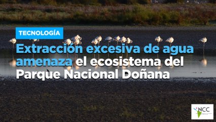 Extracción excesiva de agua amenaza el ecosistema del Parque Nacional Doñana