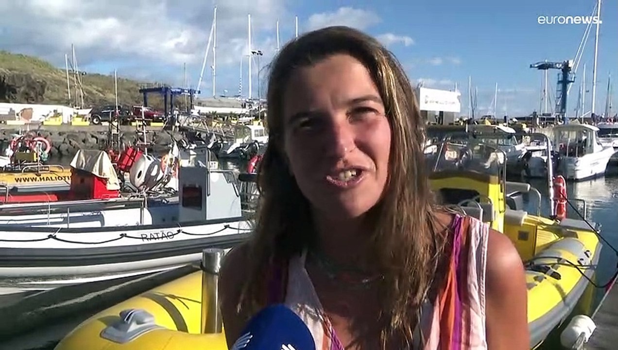 Tubarões-baleia avistados na Ilha de Santa Maria nos Açores