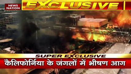 Climate change: सर्वनाश की आग..जंगल जलकर खाक !