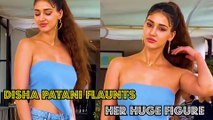     Disha Patani Flaunts Her Huge Figure || disha patani hot