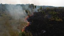 Setembro já é um mês sombrio para incêndios na Amazônia