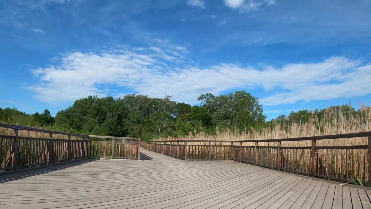 Wien am Rad: Zum Josefsteg in der Oberen Lobau (2)